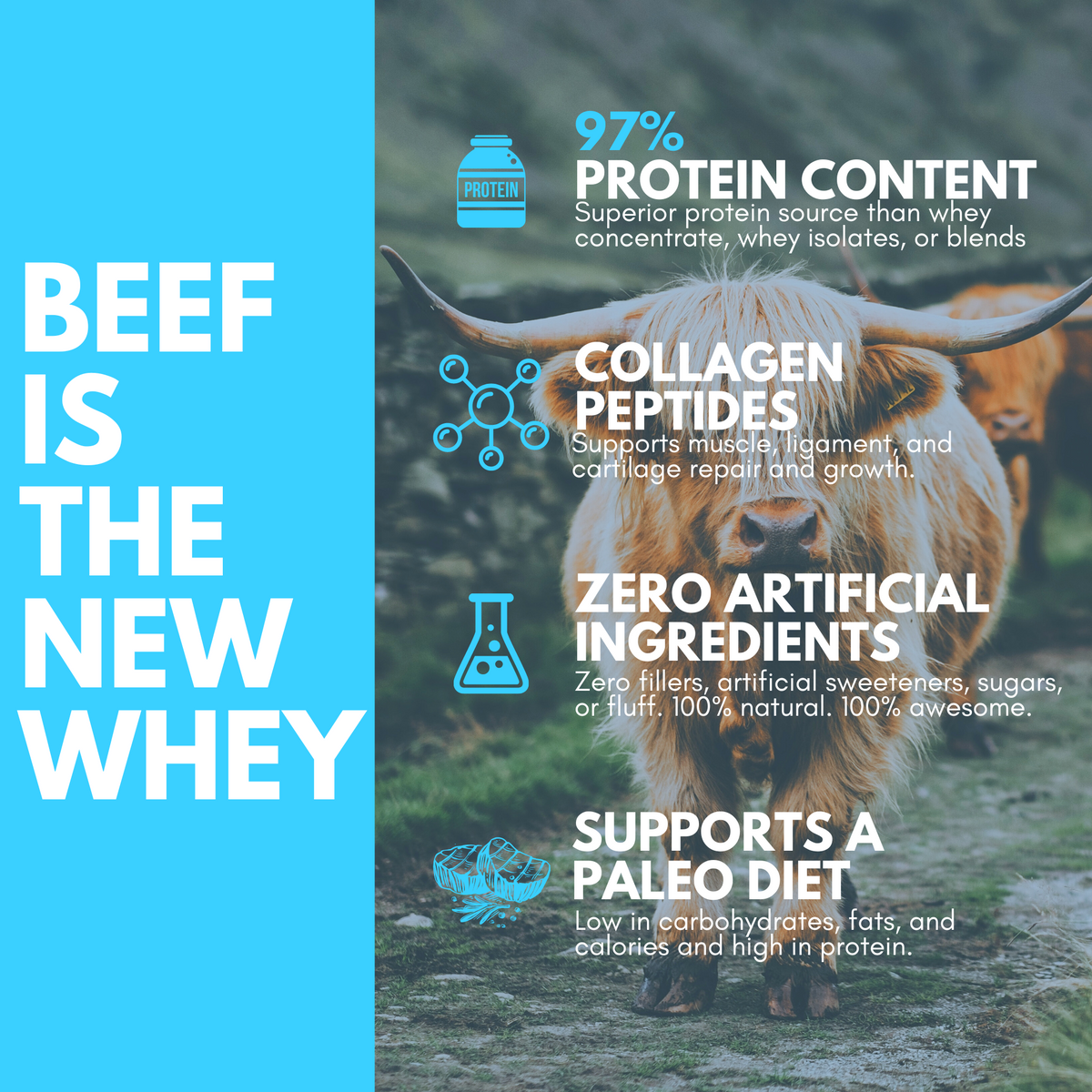 [Early Bird] Paleo Post Beef Protein